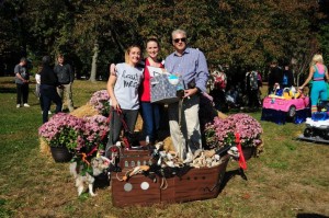 brookdale best in show
